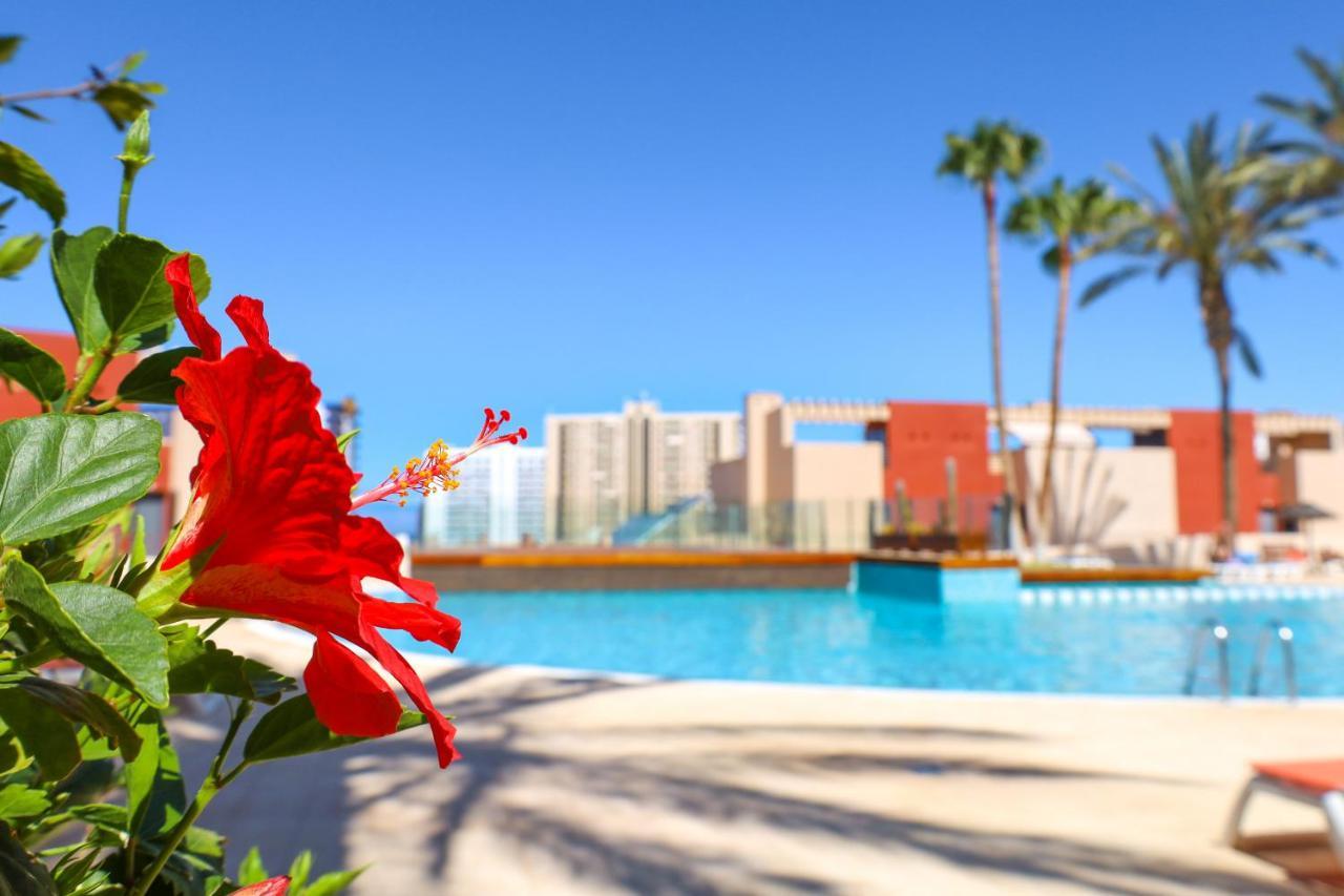 Gorgeous Paraiso Free Wifi プラヤ・パライソ エクステリア 写真